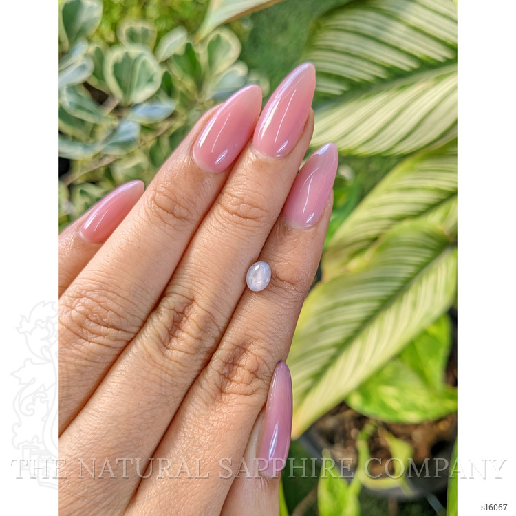 1.17 Ct. Grey Star Sapphire from Ceylon (Sri Lanka)
