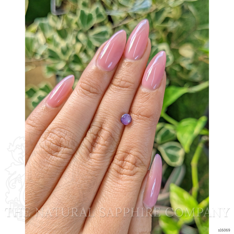 0.65 Ct. Purple Star Sapphire from Ceylon (Sri Lanka)