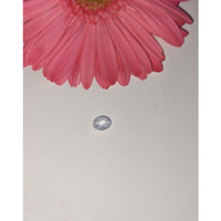 2.03 Ct. Greyish Blue Star Sapphire from Ceylon (Sri Lanka) Life Style