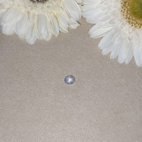 1.61 Ct. Grey Star Sapphire from Ceylon (Sri Lanka) Life Style