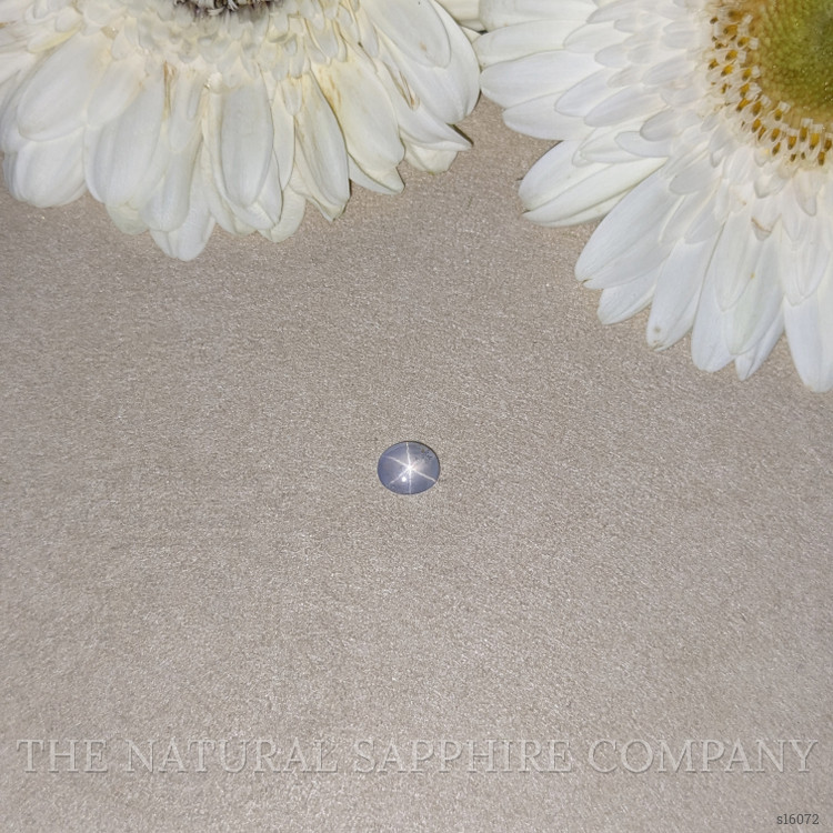 1.61 Ct. Grey Star Sapphire from Ceylon (Sri Lanka)