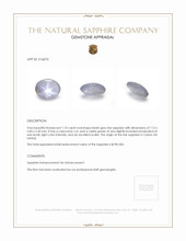 1.10 Ct. Sapphire from Ceylon (Sri Lanka) Appraisal