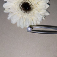 1.10 Ct. Bluish Grey Star Sapphire from Ceylon (Sri Lanka) Life Style