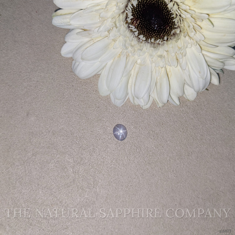 1.10 Ct. Bluish Grey Star Sapphire from Ceylon (Sri Lanka)
