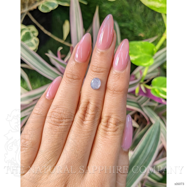 1.10 Ct. Bluish Grey Star Sapphire from Ceylon (Sri Lanka)