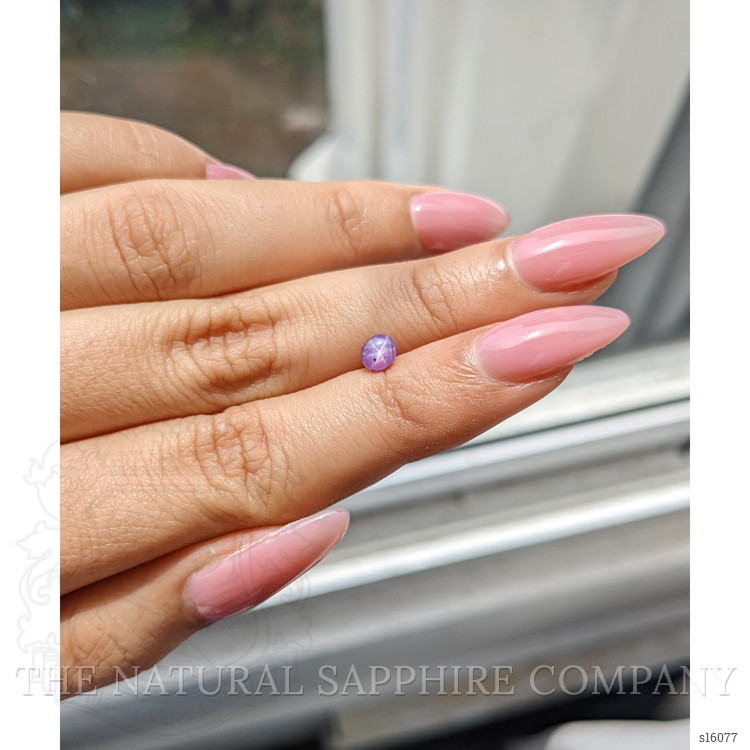 0.63 Ct. Purple Star Sapphire from Ceylon (Sri Lanka)