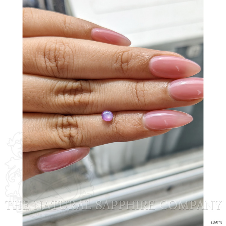0.60 Ct. Purple Star Sapphire from Ceylon (Sri Lanka)