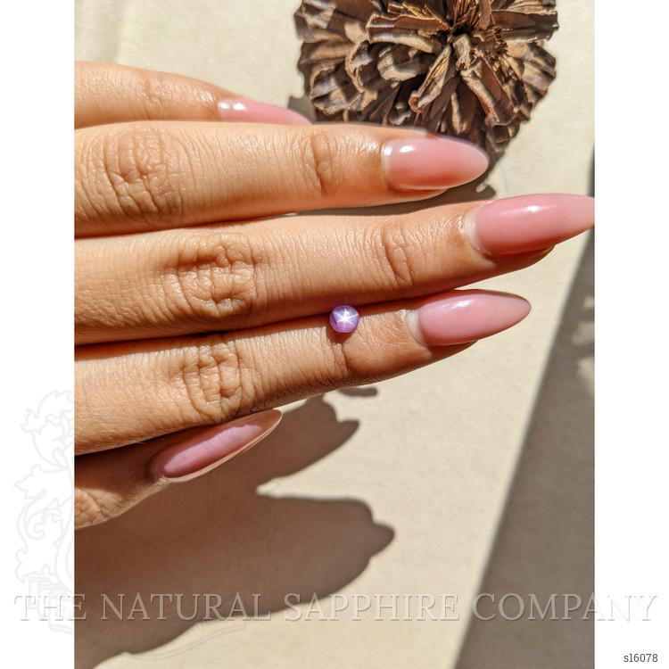 0.60 Ct. Purple Star Sapphire from Ceylon (Sri Lanka)