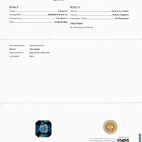 Jewelry Scan Report
