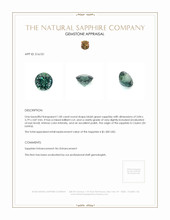 1.00 Ct. Sapphire from Ceylon (Sri Lanka) Appraisal