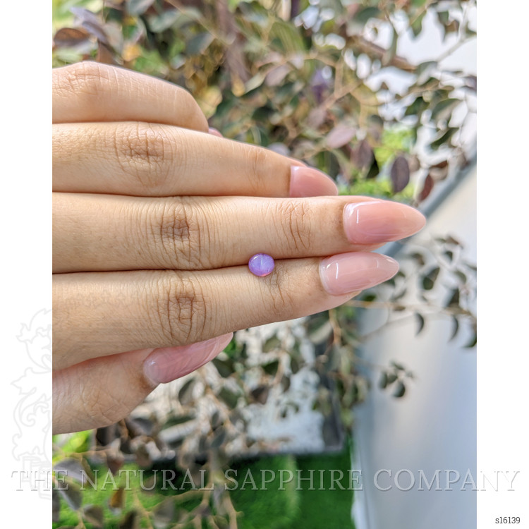 0.85 Ct. Purple Star Sapphire from Ceylon (Sri Lanka)