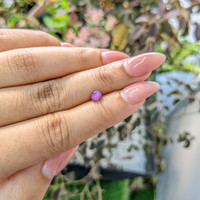 0.70 Ct. Purplish Pink Star Sapphire from Ceylon (Sri Lanka) Life Style