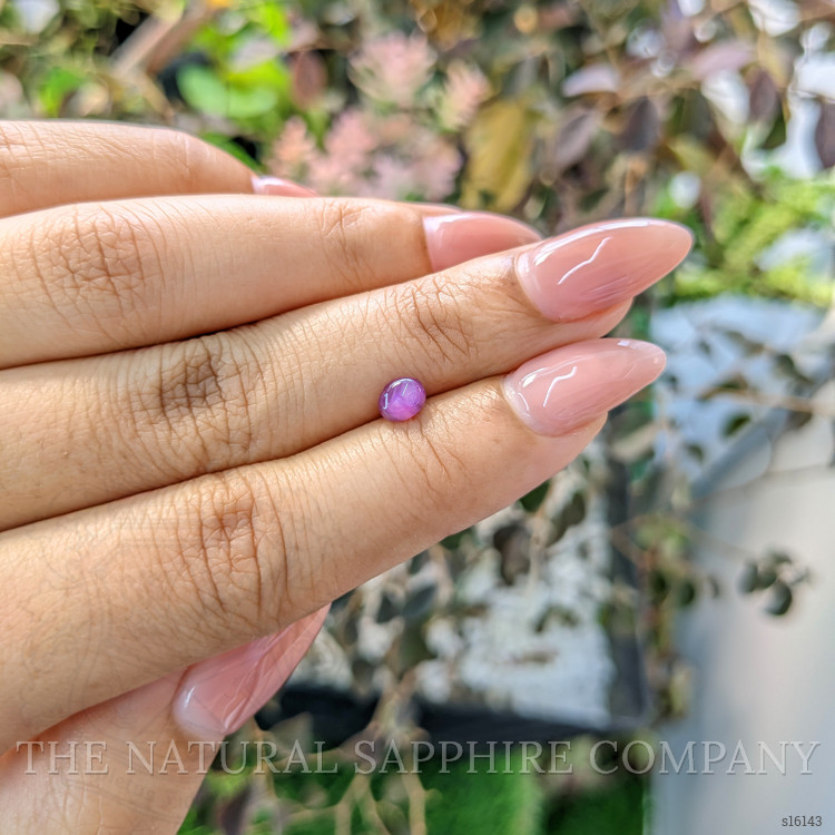 0.70 Ct. Purplish Pink Star Sapphire from Ceylon (Sri Lanka)