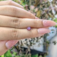 1.11 Ct. Purple Star Sapphire from Ceylon (Sri Lanka) Life Style