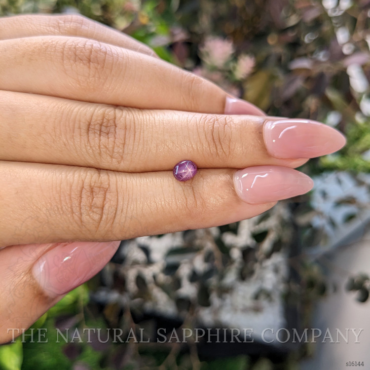 1.11 Ct. Purple Star Sapphire from Ceylon (Sri Lanka)