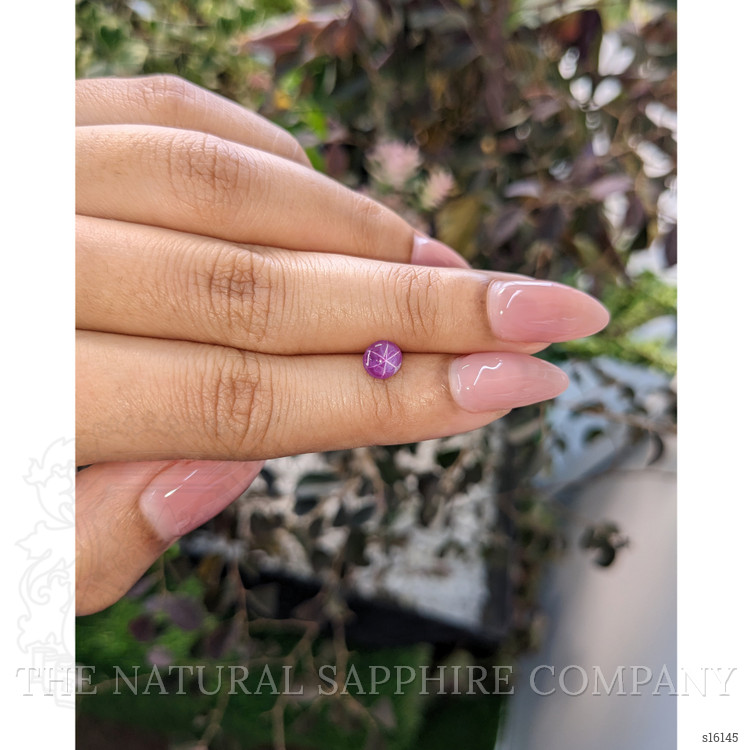 1.05 Ct. Purple Star Sapphire from Ceylon (Sri Lanka)