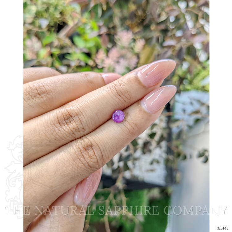 1.05 Ct. Purple Star Sapphire from Ceylon (Sri Lanka)
