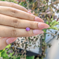0.96 Ct. Purple Star Sapphire from Ceylon (Sri Lanka) Life Style