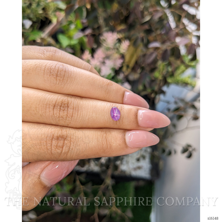 0.77 Ct. Purple Star Sapphire from Ceylon (Sri Lanka)