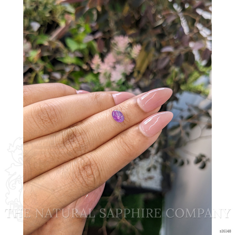 0.77 Ct. Purple Star Sapphire from Ceylon (Sri Lanka)