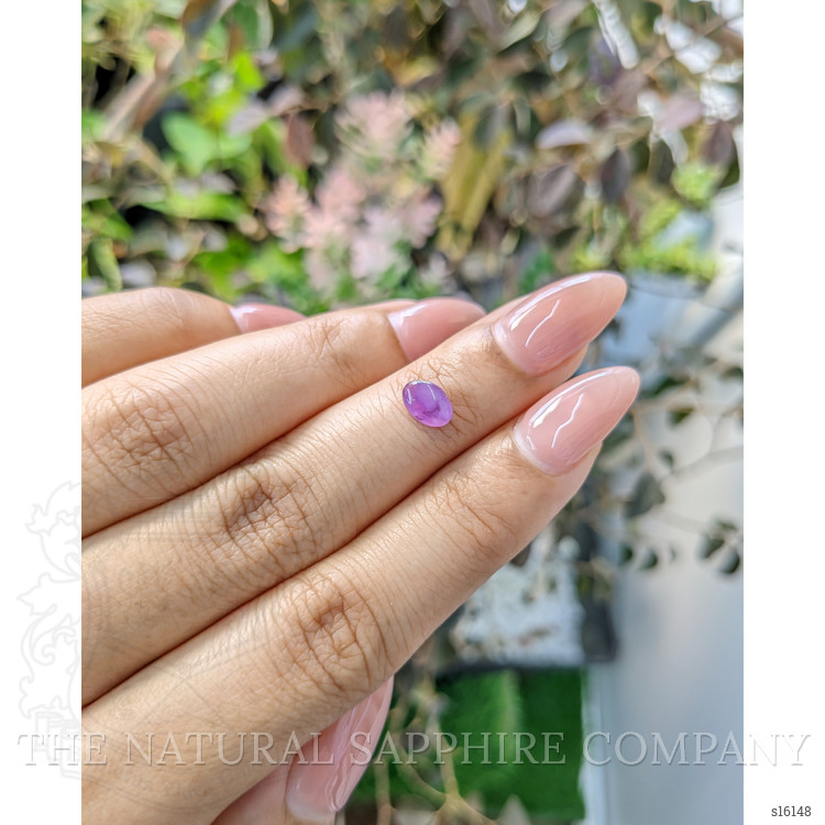 0.77 Ct. Purple Star Sapphire from Ceylon (Sri Lanka)