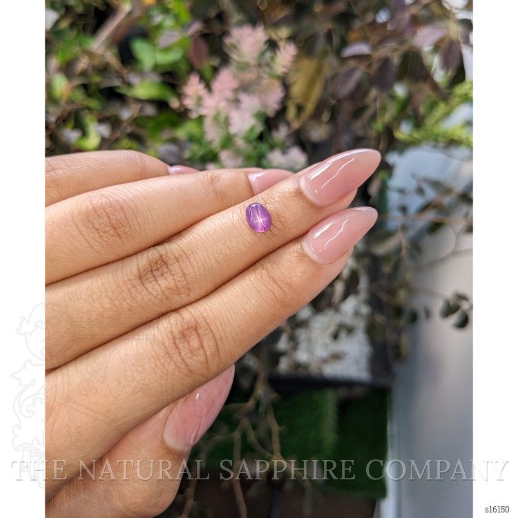 1.08 Ct. Pinkish Purple Star Sapphire from Ceylon (Sri Lanka)