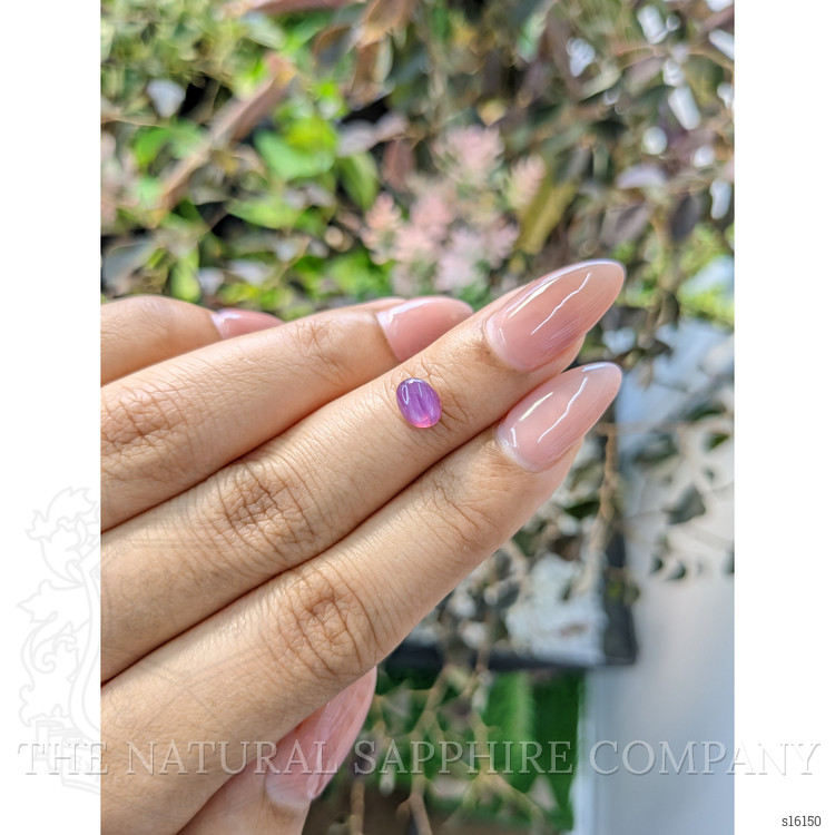 1.08 Ct. Pinkish Purple Star Sapphire from Ceylon (Sri Lanka)