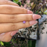 0.64 Ct. Pinkish Purple Star Sapphire from Ceylon (Sri Lanka) Life Style