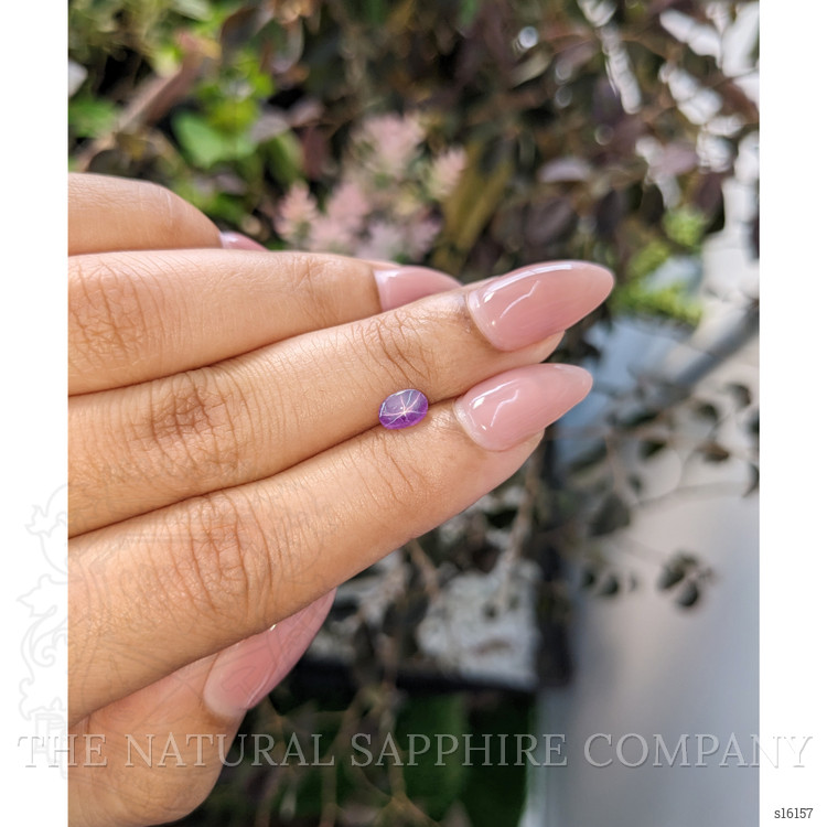 0.70 Ct. Purple Star Sapphire from Ceylon (Sri Lanka)