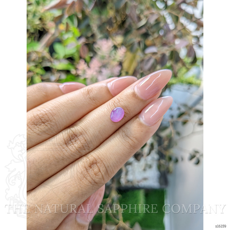 1.51 Ct. Purple Star Sapphire from Ceylon (Sri Lanka)