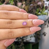 1.51 Ct. Purple Star Sapphire from Ceylon (Sri Lanka) Life Style