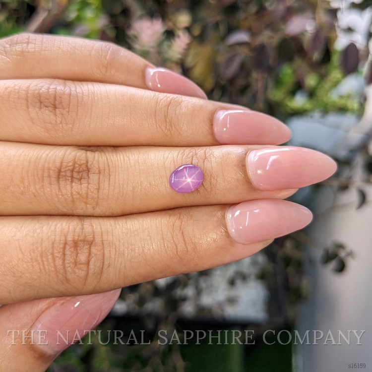 1.51 Ct. Purple Star Sapphire from Ceylon (Sri Lanka)