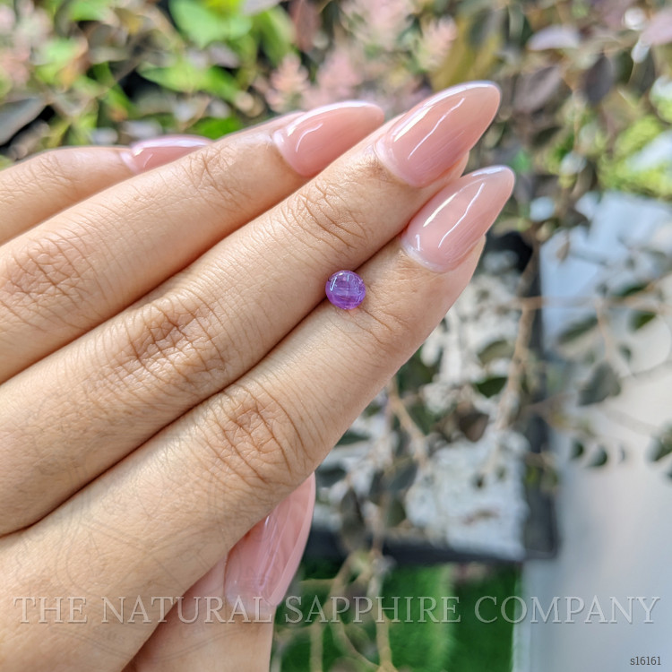 1.16 Ct. Purple Star Sapphire from Ceylon (Sri Lanka)