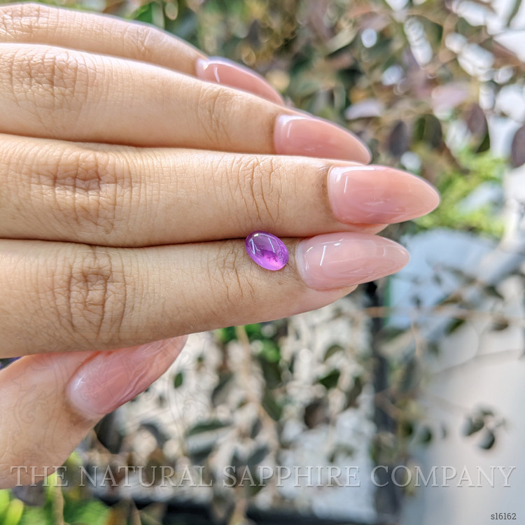 1.26 Ct. Purple Star Sapphire from Ceylon (Sri Lanka)