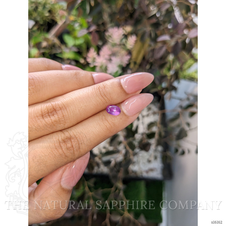 1.26 Ct. Purple Star Sapphire from Ceylon (Sri Lanka)