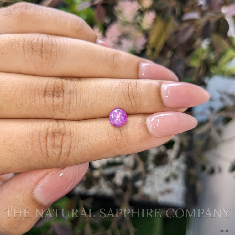 1.19 Ct. Purple Star Sapphire from Ceylon (Sri Lanka)