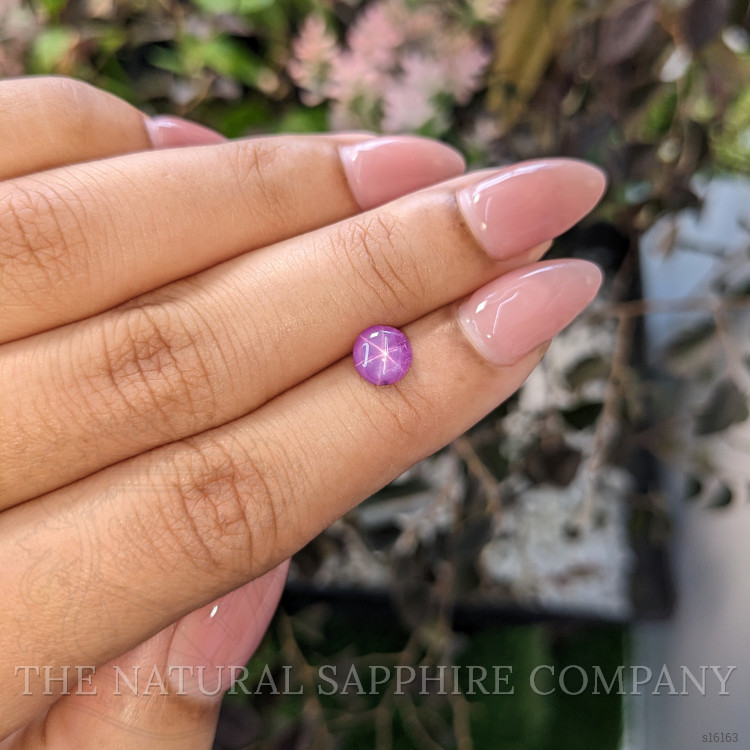1.19 Ct. Purple Star Sapphire from Ceylon (Sri Lanka)