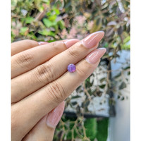 1.71 Ct. Purple Star Sapphire from Ceylon (Sri Lanka) Life Style