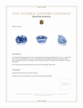 0.82 Ct. Blue Sapphire from Ceylon (Sri Lanka) Appraisal