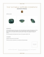 4.03 Ct. Bluish Green Sapphire from Ceylon (Sri Lanka) Appraisal