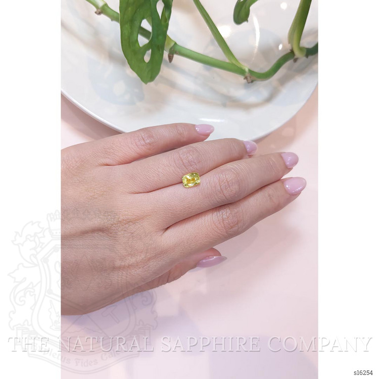 1.59 Ct. Yellow Sapphire from Ceylon (Sri Lanka)