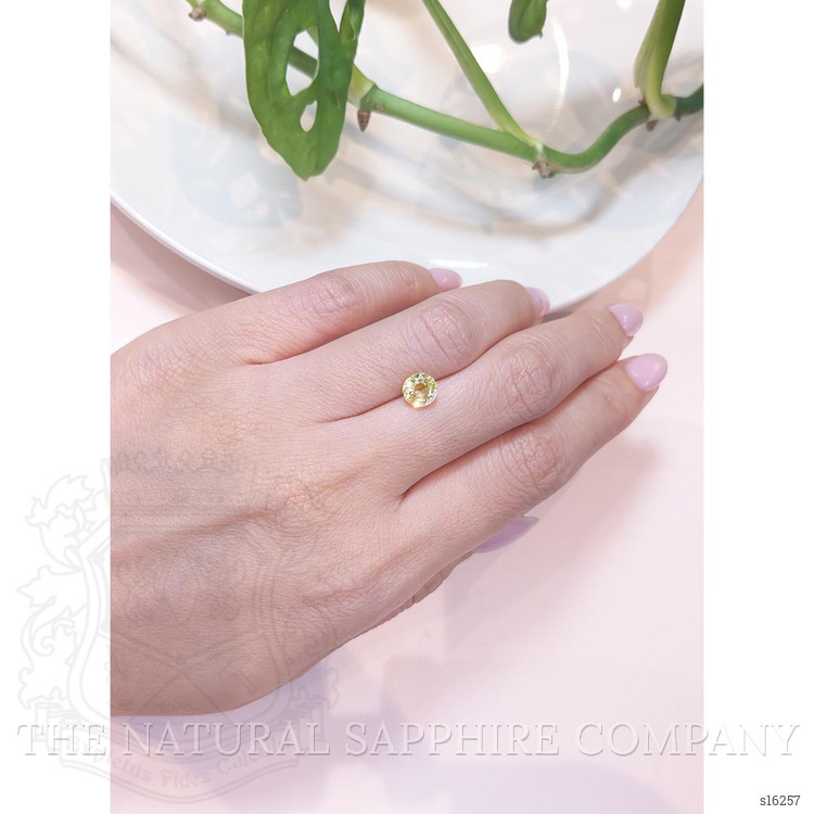 1.69 Ct. Yellow Sapphire from Ceylon (Sri Lanka)