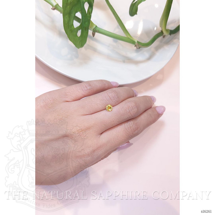 0.68 Ct. Yellow Sapphire from Ceylon (Sri Lanka)