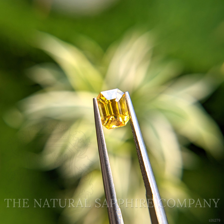 1.16 Ct. Yellow Sapphire from Ceylon (Sri Lanka)