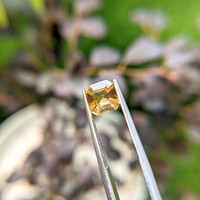 1.57 Ct. Peach Sapphire from Ceylon (Sri Lanka) Life Style