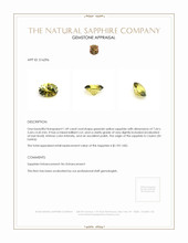 1.49 Ct. Greenish Yellow Sapphire from Ceylon (Sri Lanka) Appraisal