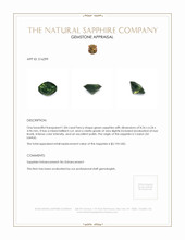 Jewelry Appraisal