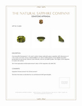 1.50 Ct. Yellowish Green Sapphire from Ceylon (Sri Lanka) Appraisal