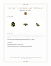 1.65 Ct. Yellowish Green Sapphire from Ceylon (Sri Lanka) Appraisal