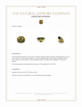 Jewelry Appraisal